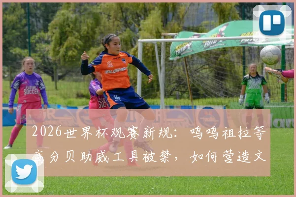 2026世界杯观赛新规:呜呜祖拉等高分贝助威工具被禁,如何营造文明观赛氛围?