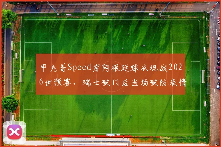 甲亢哥Speed穿阿根廷球衣观战2026世预赛，瑞士破门后当场破防表情包合集